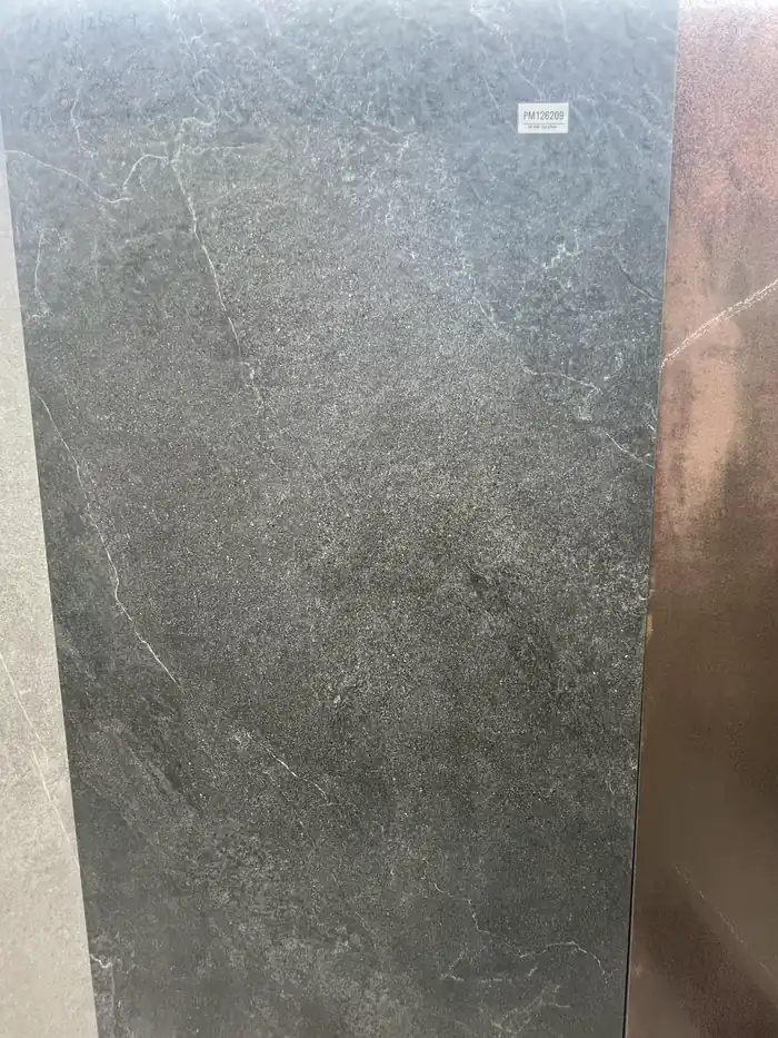 PM126209